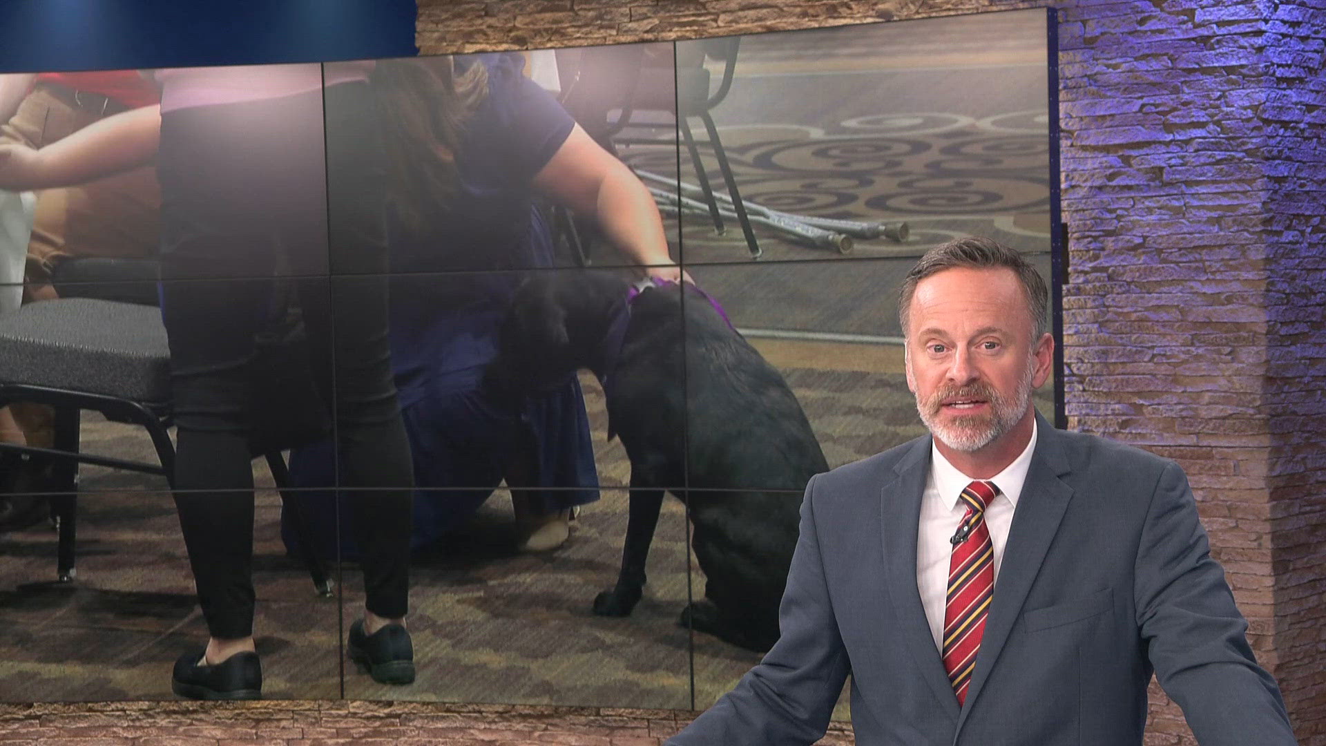 Graduate Board Examples Dogploma; Assistance animals graduate at Ability Center ceremony | wtol.com