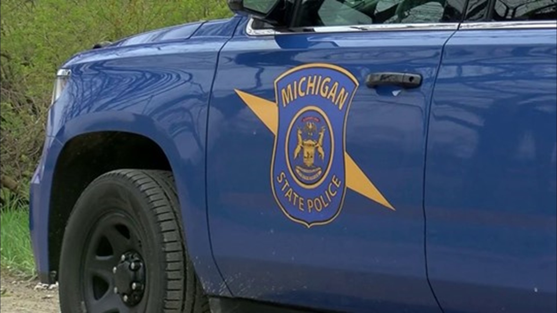 Michigan State Police said a 37-year-old man from Monroe was arrested for assault with intent to murder for allegedly stabbing the 59-year-old woman.