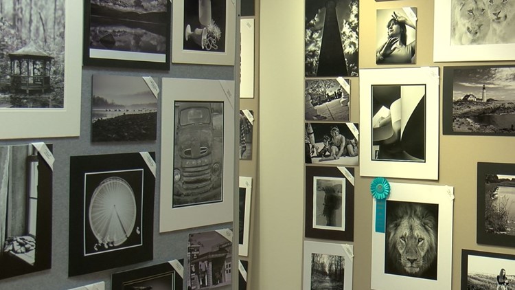 Amateur photographers compete for best in Toledo area