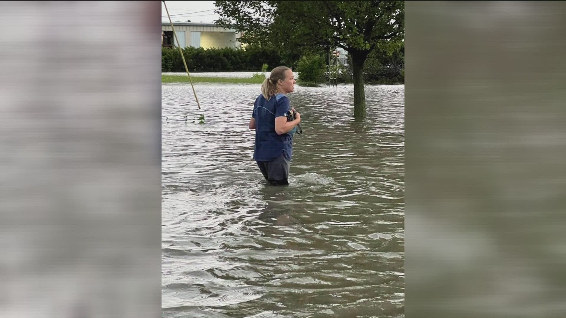 Several inches of standing water after storms swept through Erie County left people trapped in homes and animals trapped in the local humane society.