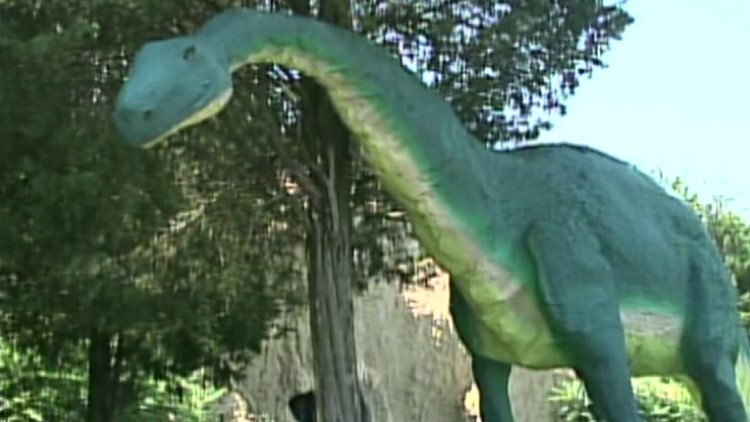 Day Trippin’: Prehistoric Forest and Mystery Hill | WTOL 11 Vault - Aug. 8, 2004