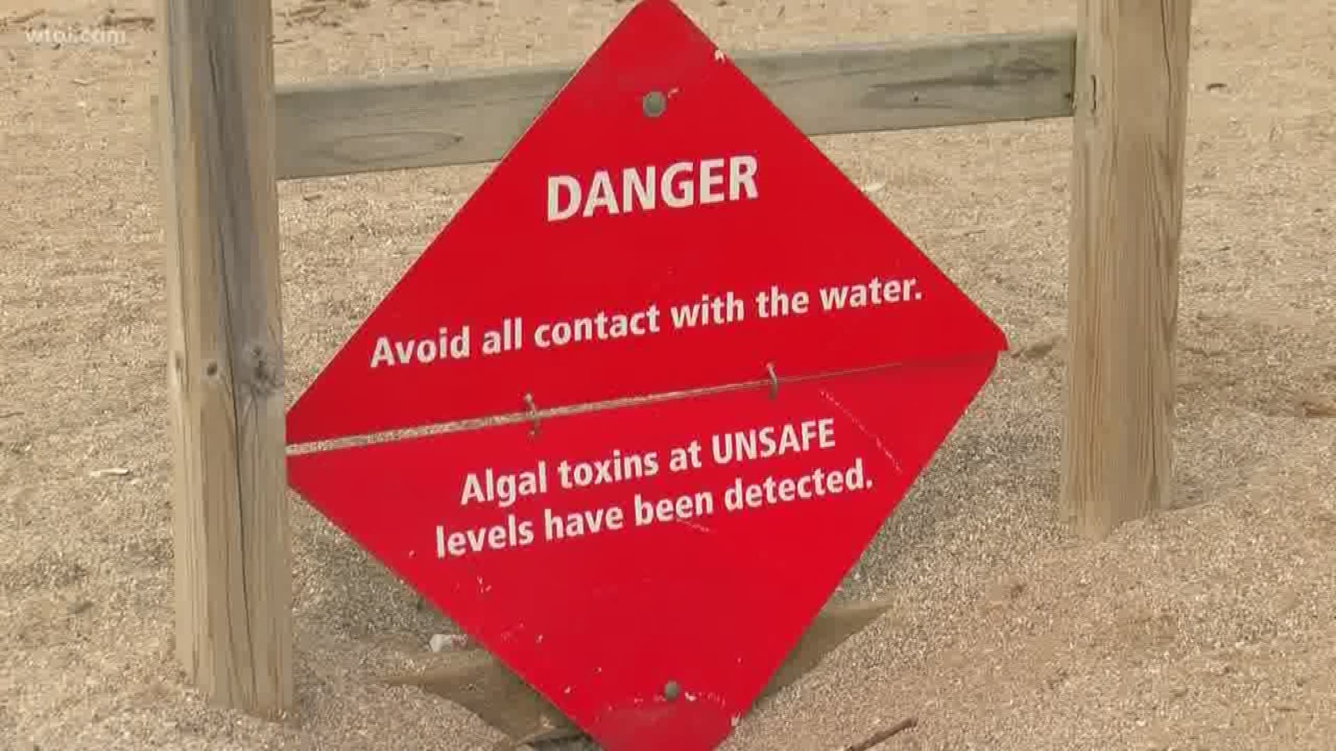 Meteorologist John Burchfield examines the health impacts of harmful algal blooms in our water.