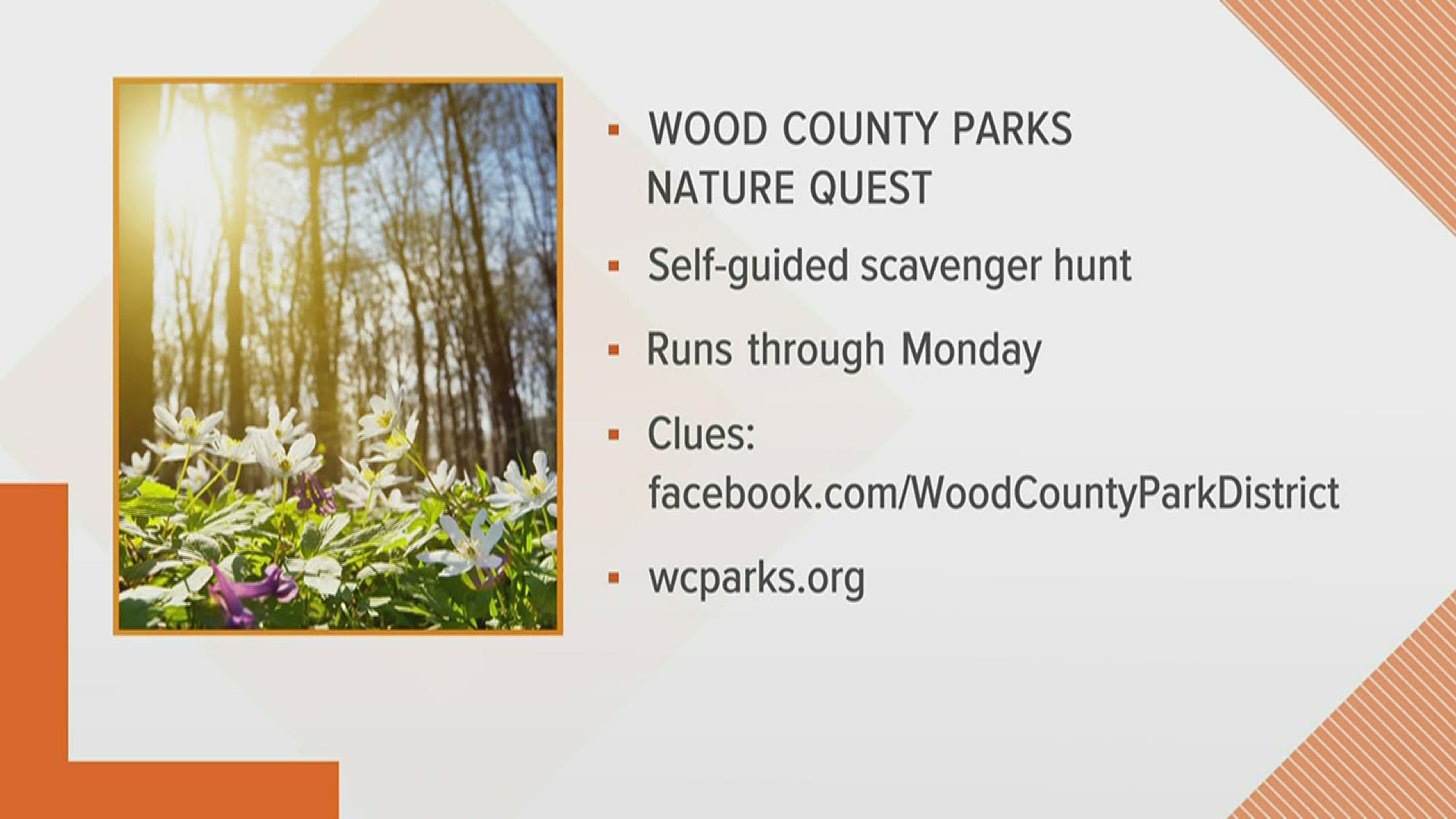 Enjoy the upcoming nice weather with Nature Quest, a self-guided scavenger hunt with the Wood County Park District!