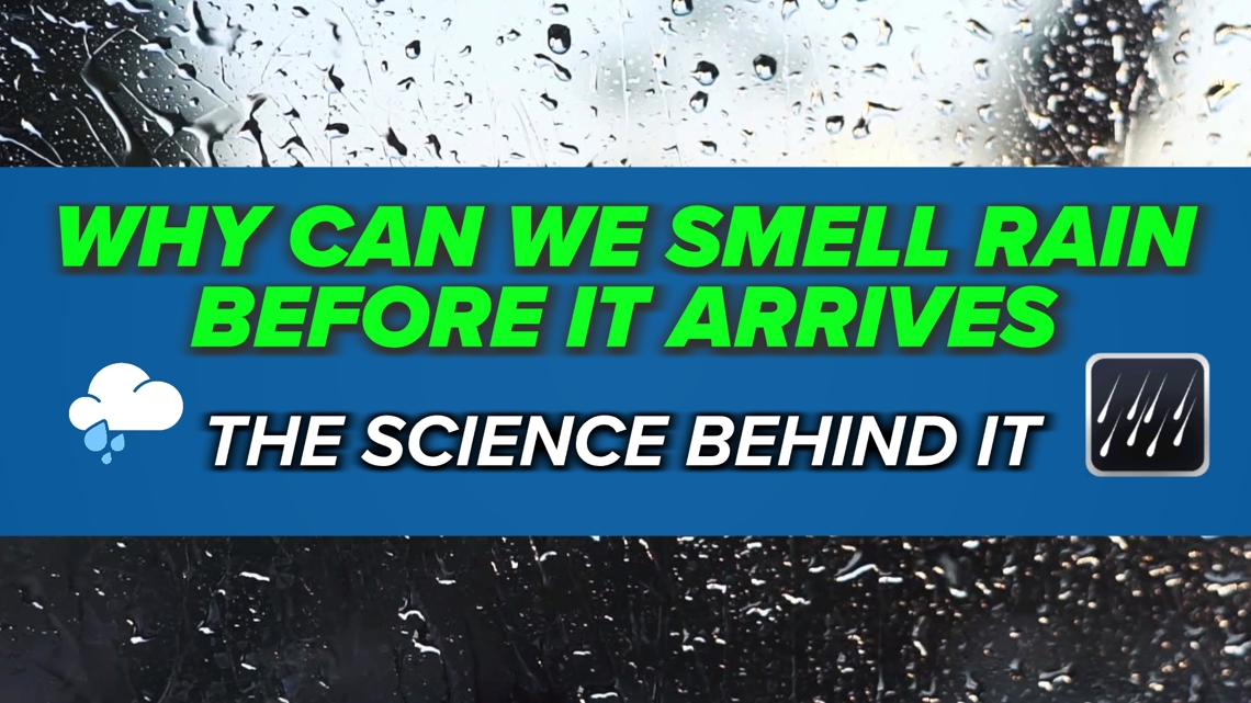 Why does rain have a smell, explained