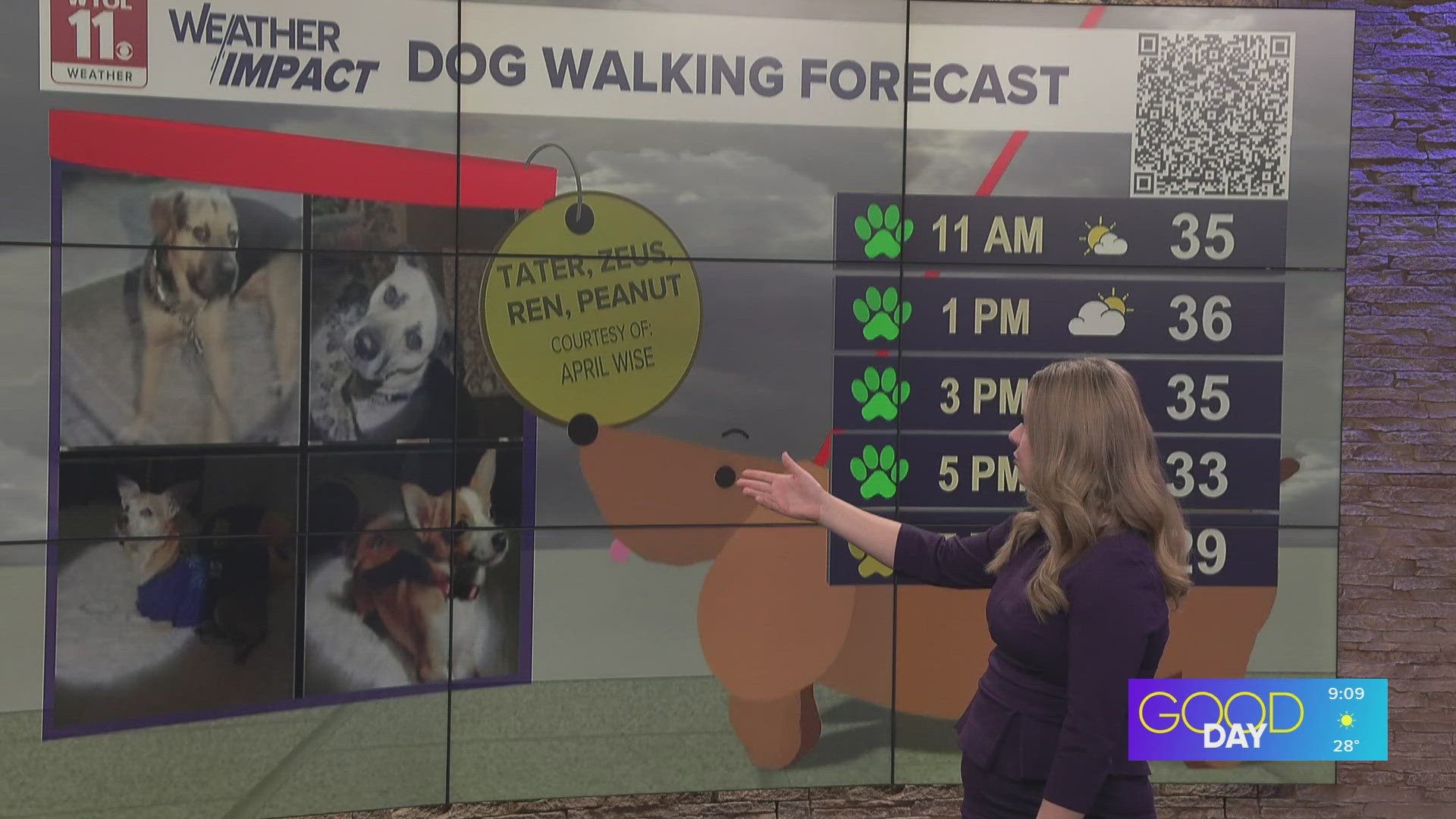 Dog walking forecast: Green paw overall with bright sun and some wind ...