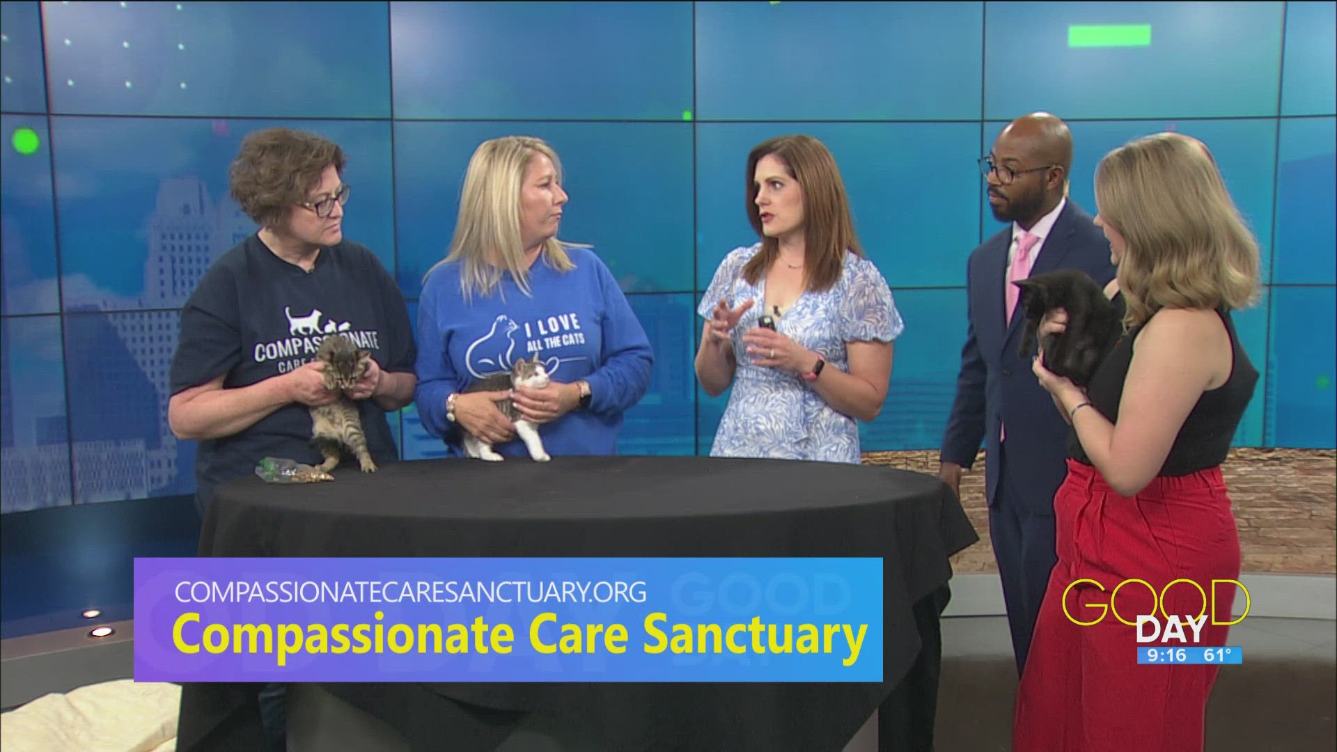 Compassionate Care Sanctuary provides long-term care to cats and other small animals who are considered difficult or impossible to adopt.