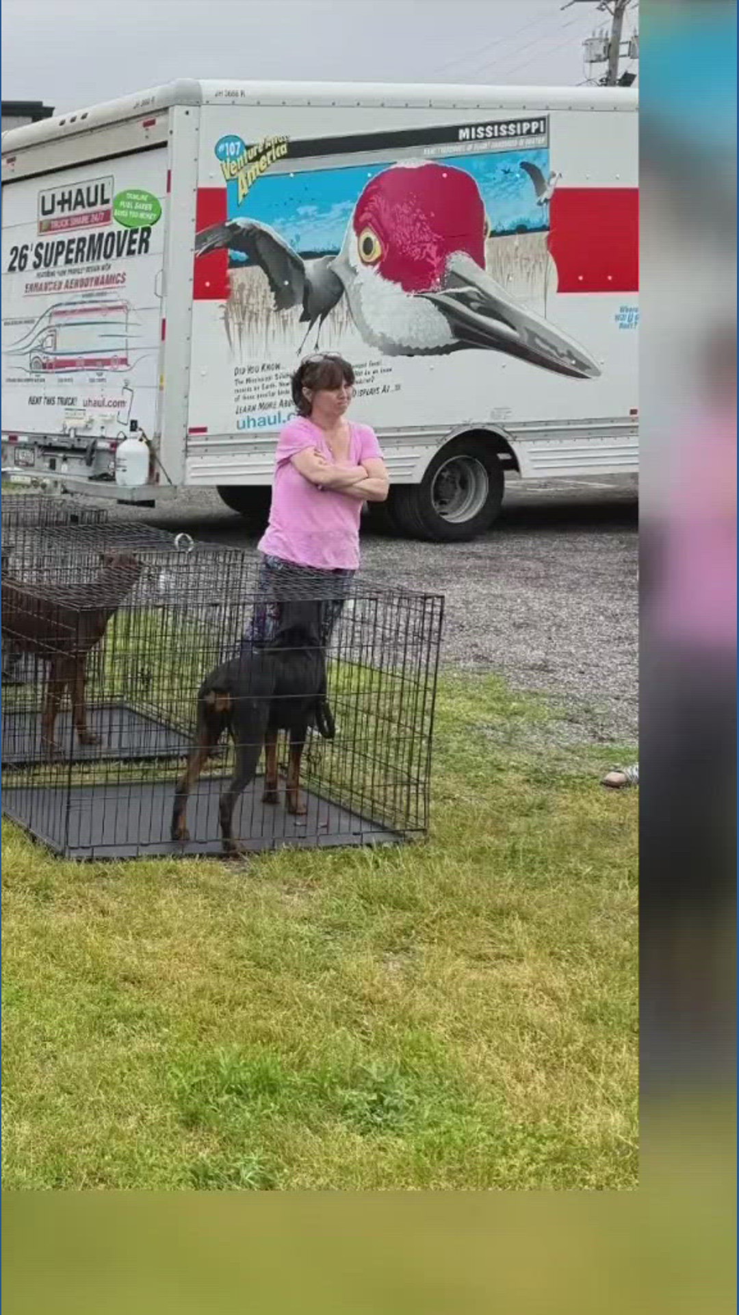 Henry County man pleads guilty in animal cruelty case | wtol.com