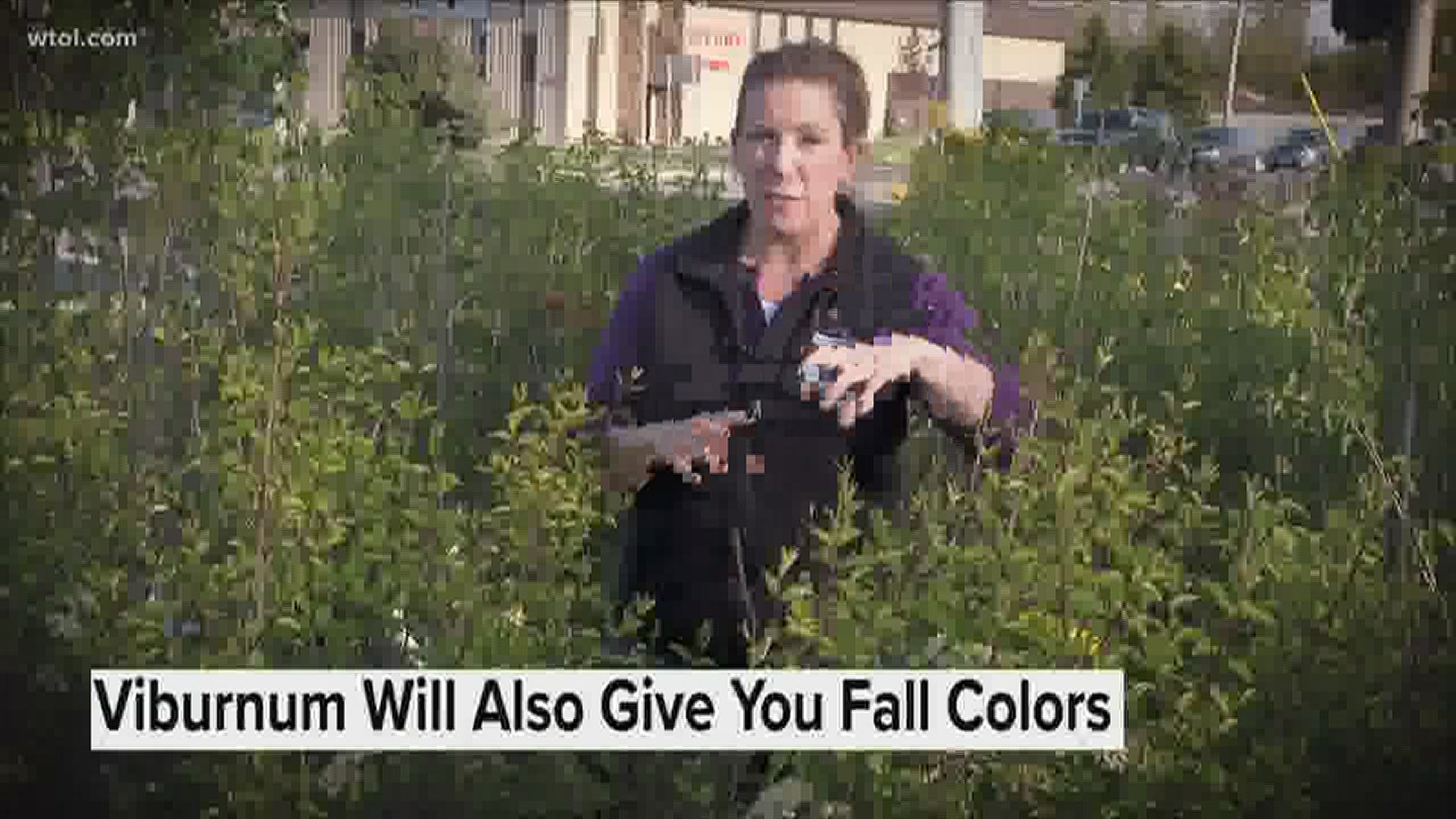 Jenny Amstutz with Nature's Corner gives you tips for creating your very own outdoor oasis.