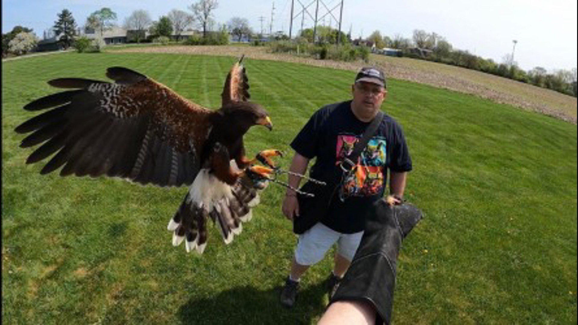 Raptors Raffles How to win a unique falconry experience in northwest Ohio | wtol.com