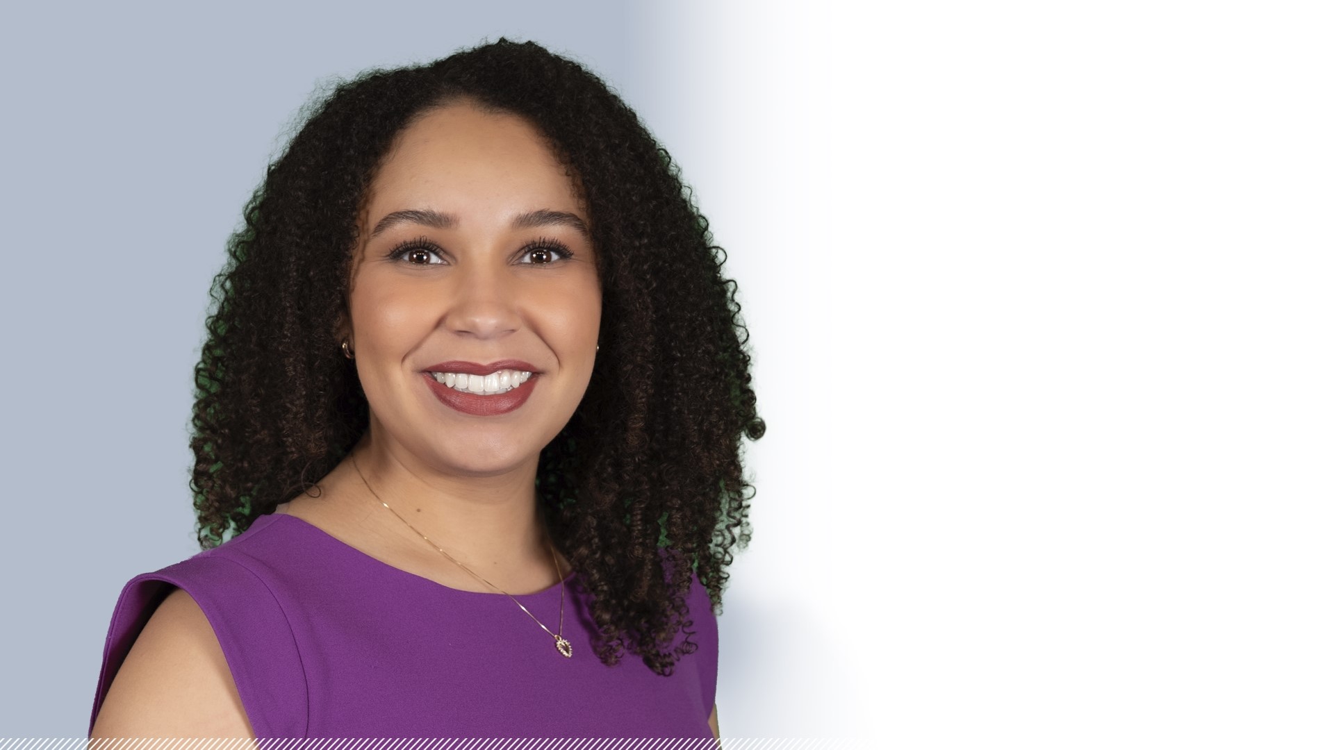 Meet the WTOL11 Team