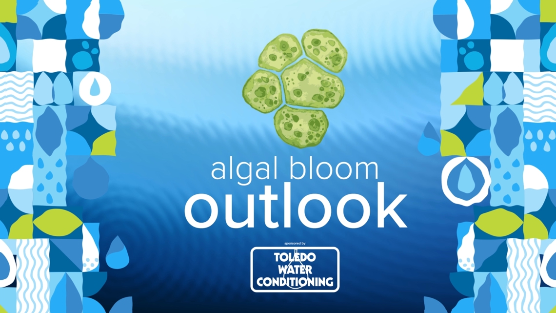 Lake Erie harmful algal bloom outlook - Vimarsana News