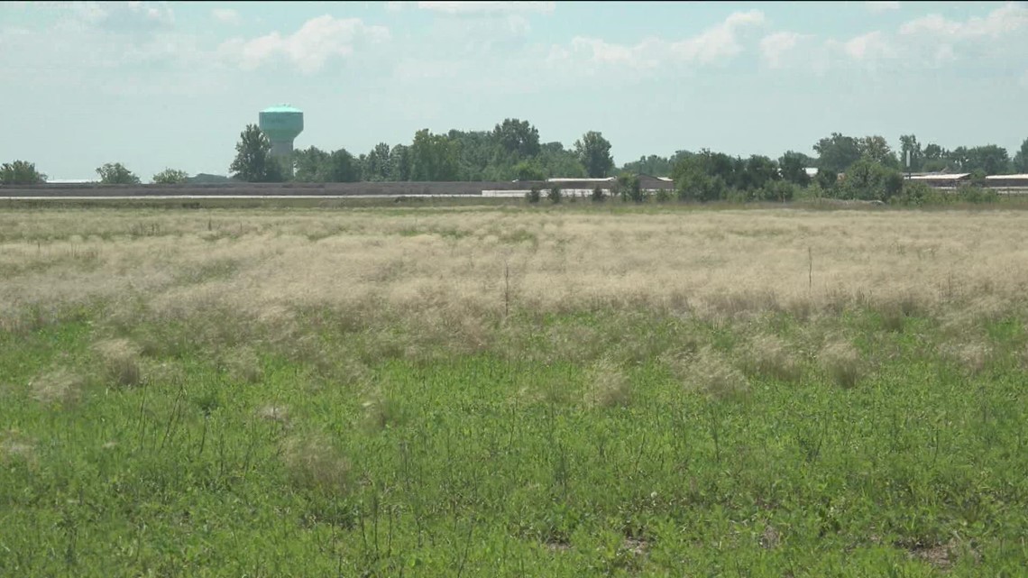 Perrysburg mayor working to remove field of harmful foxtail weed - Vimarsana News