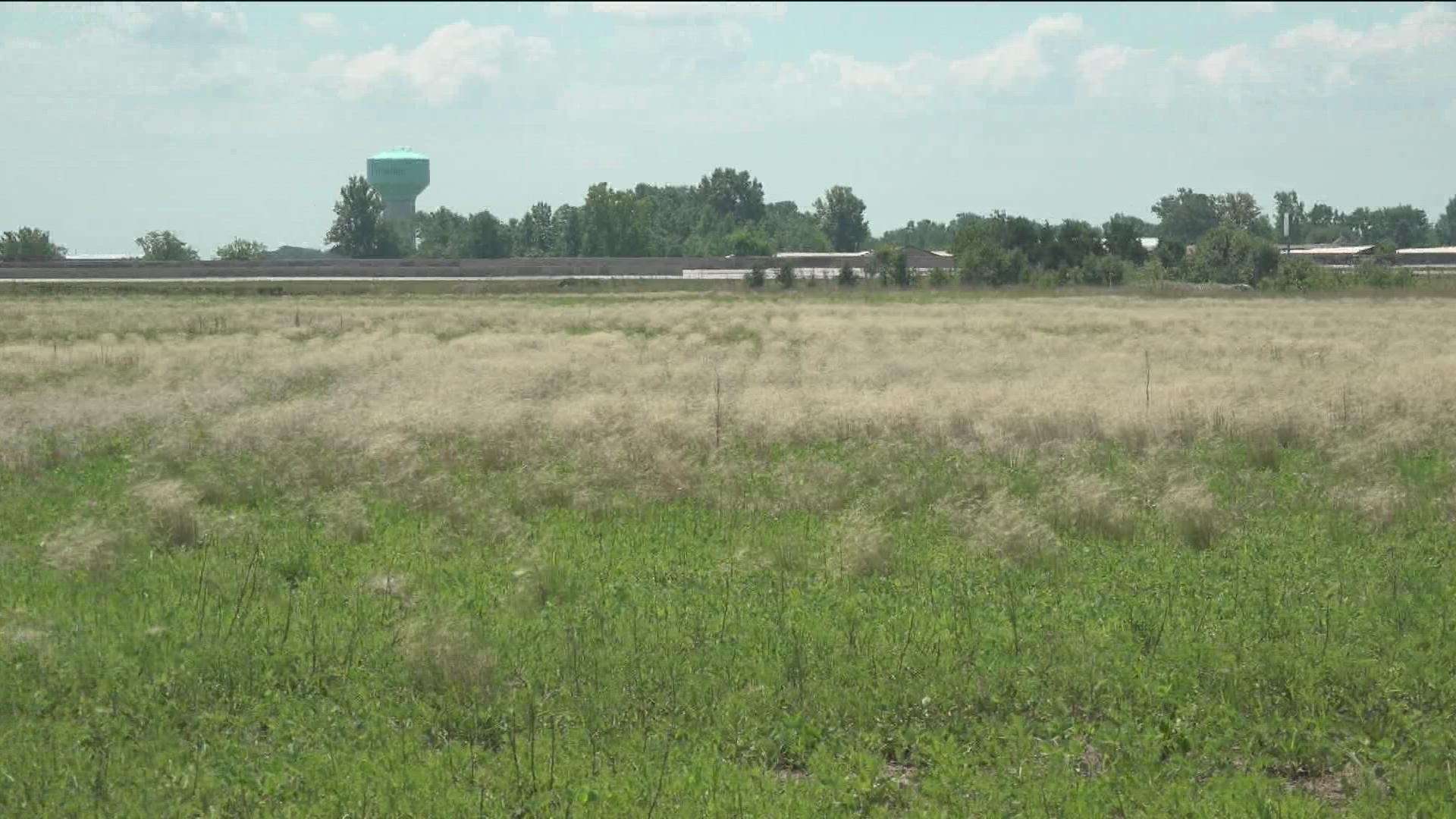 Perrysburg Mayor Tom Mackin is asking the department of agriculture to list foxtail barley as a noxious weed.