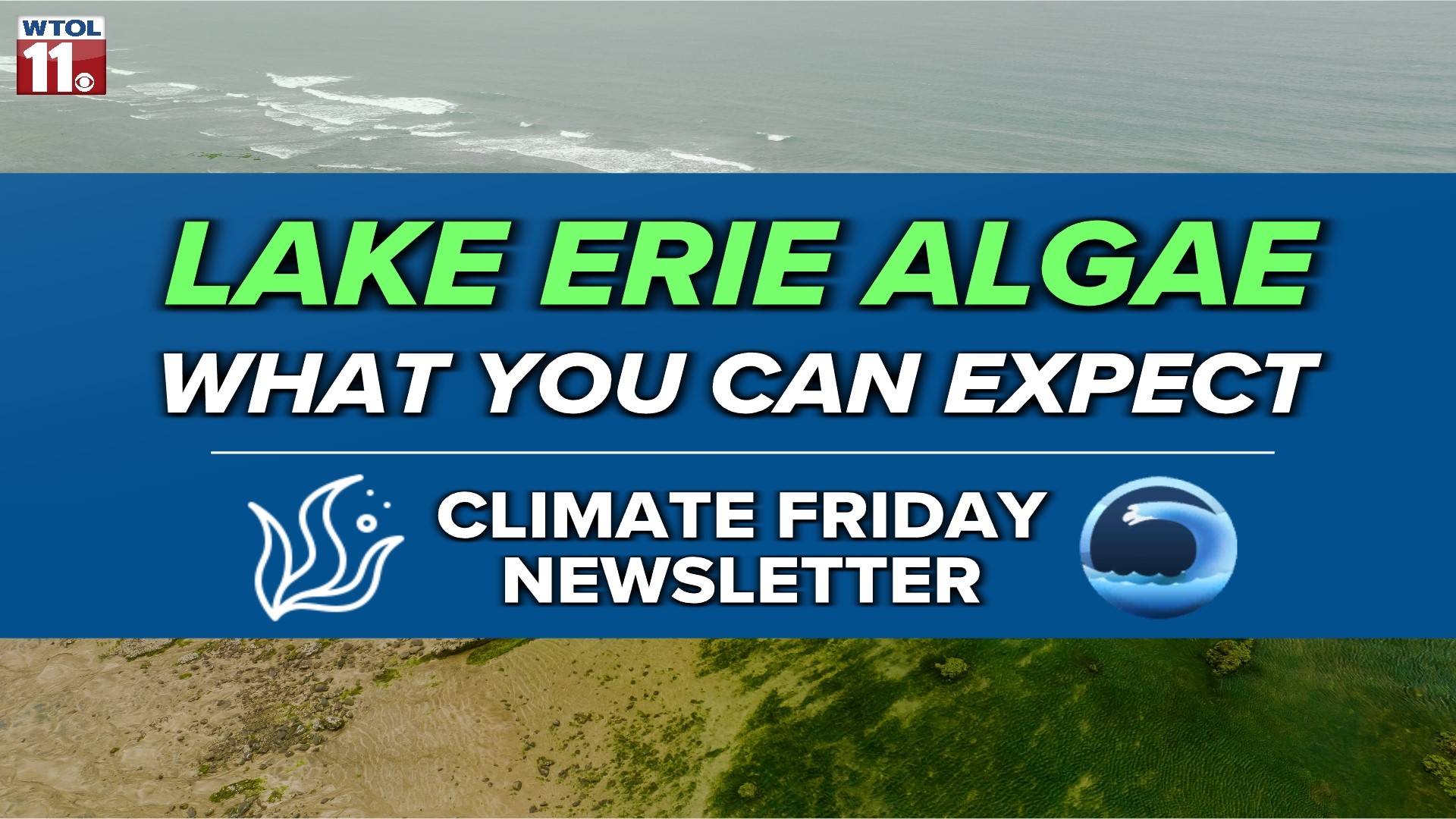 WTOL 11 Meteorologist John Burchfield walks you through the latest data and information on the Lake Erie harmful algal bloom.