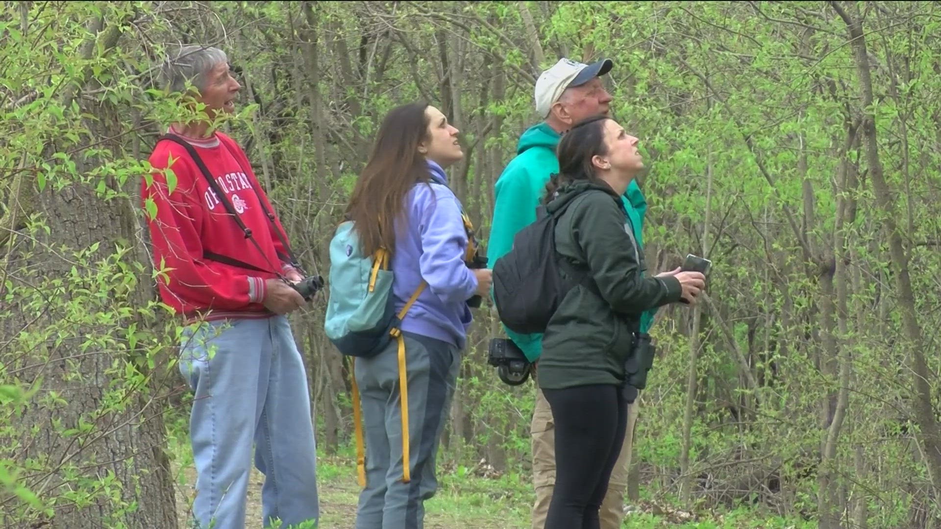 It's day two of birding week in here in Northwest Ohio. Fun fact. Birding is actually the number one sport in America... bigger than football, basketball, baseball..