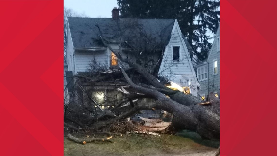 ALERT Day: Damage Reports Roll In From Toledo Metro Area Friday | WTOL ...