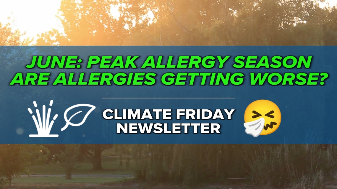 Allergy season: How does Toledo compare to other cities? | Climate Friday