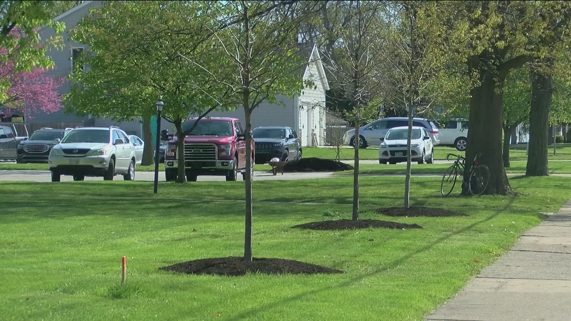 The city is still in the planning phase for the Re-Tree program, but planting should start by next spring.
