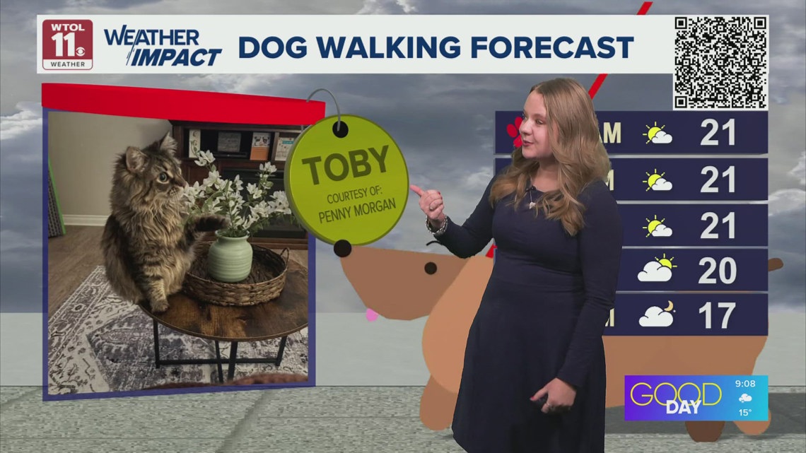 Dog walking forecast: 'Red paw' cold with Weather Impact Alert Day on ...