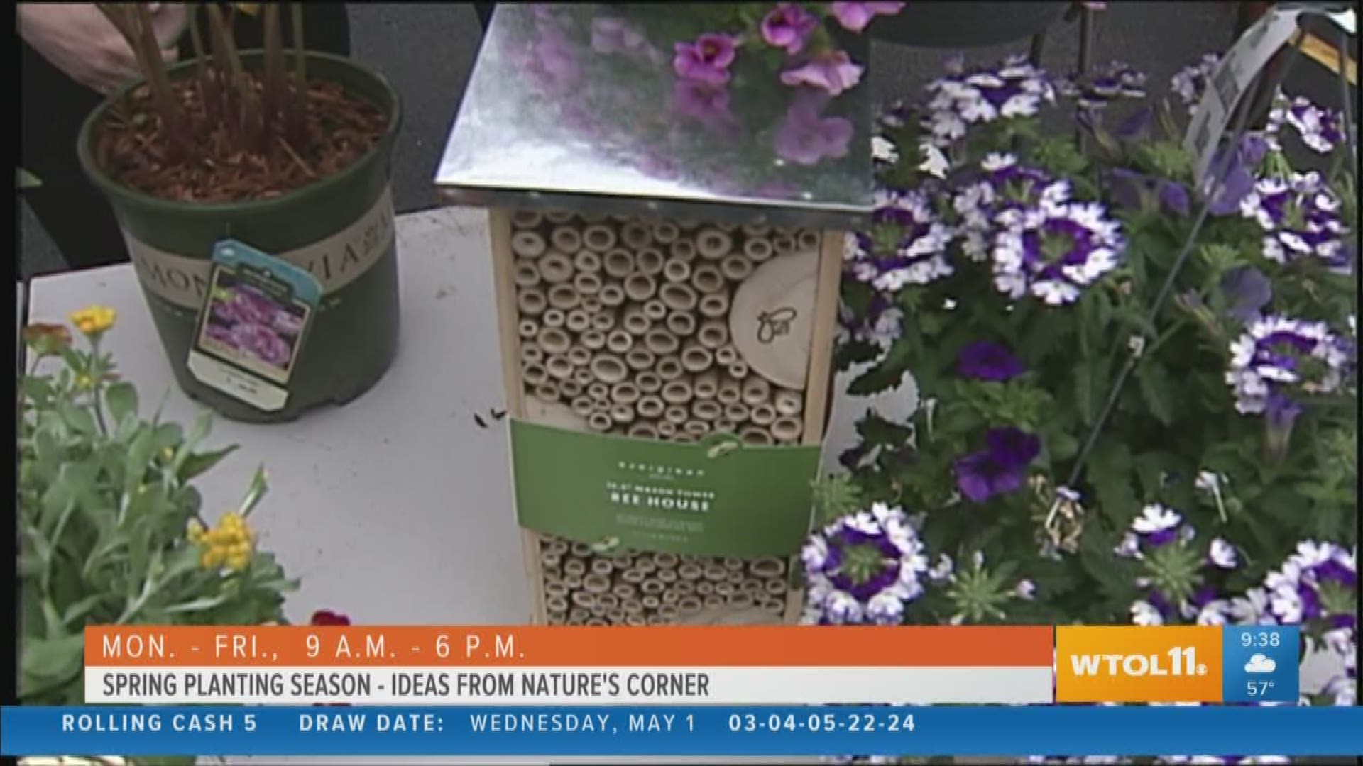 Jenny Amstutz from Nature's Corner has some great spring planting ideas for those looking for inspiration!