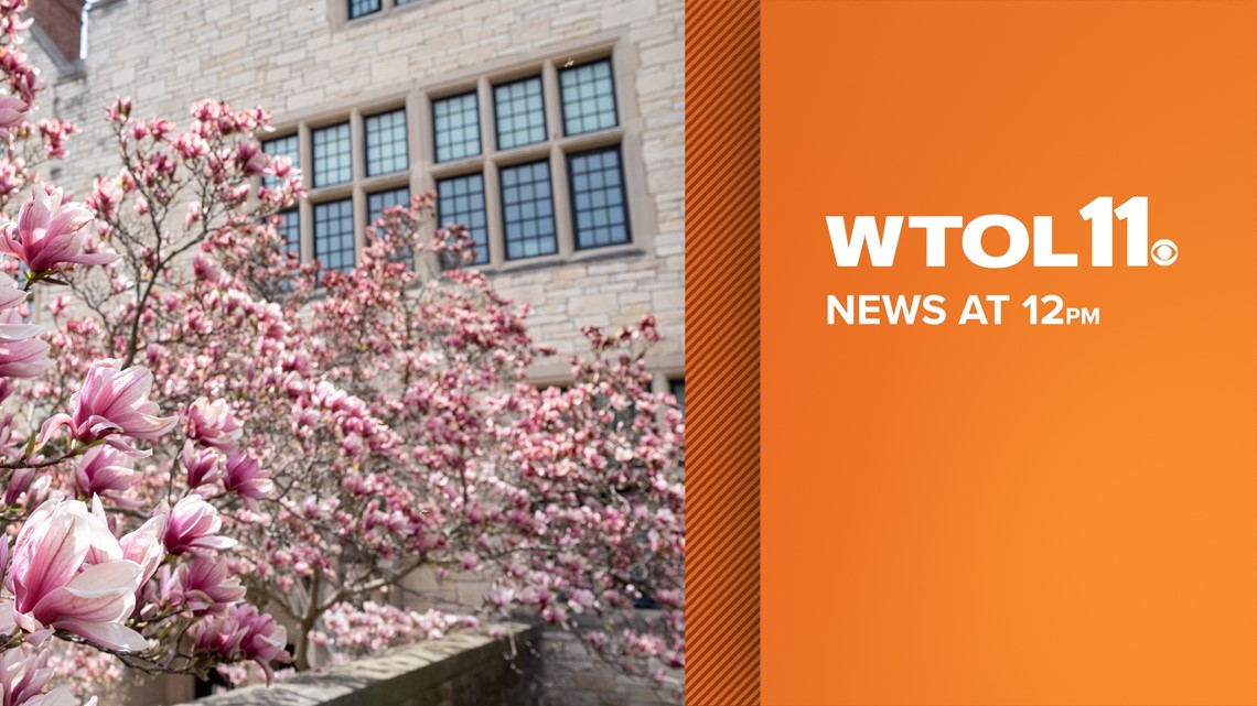 WTOL 11 News at Noon