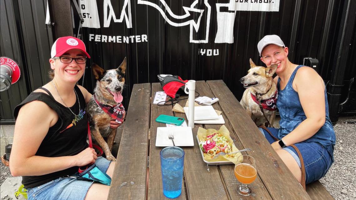 Findlay Barks & Brews events benefits Humane Society Sunday