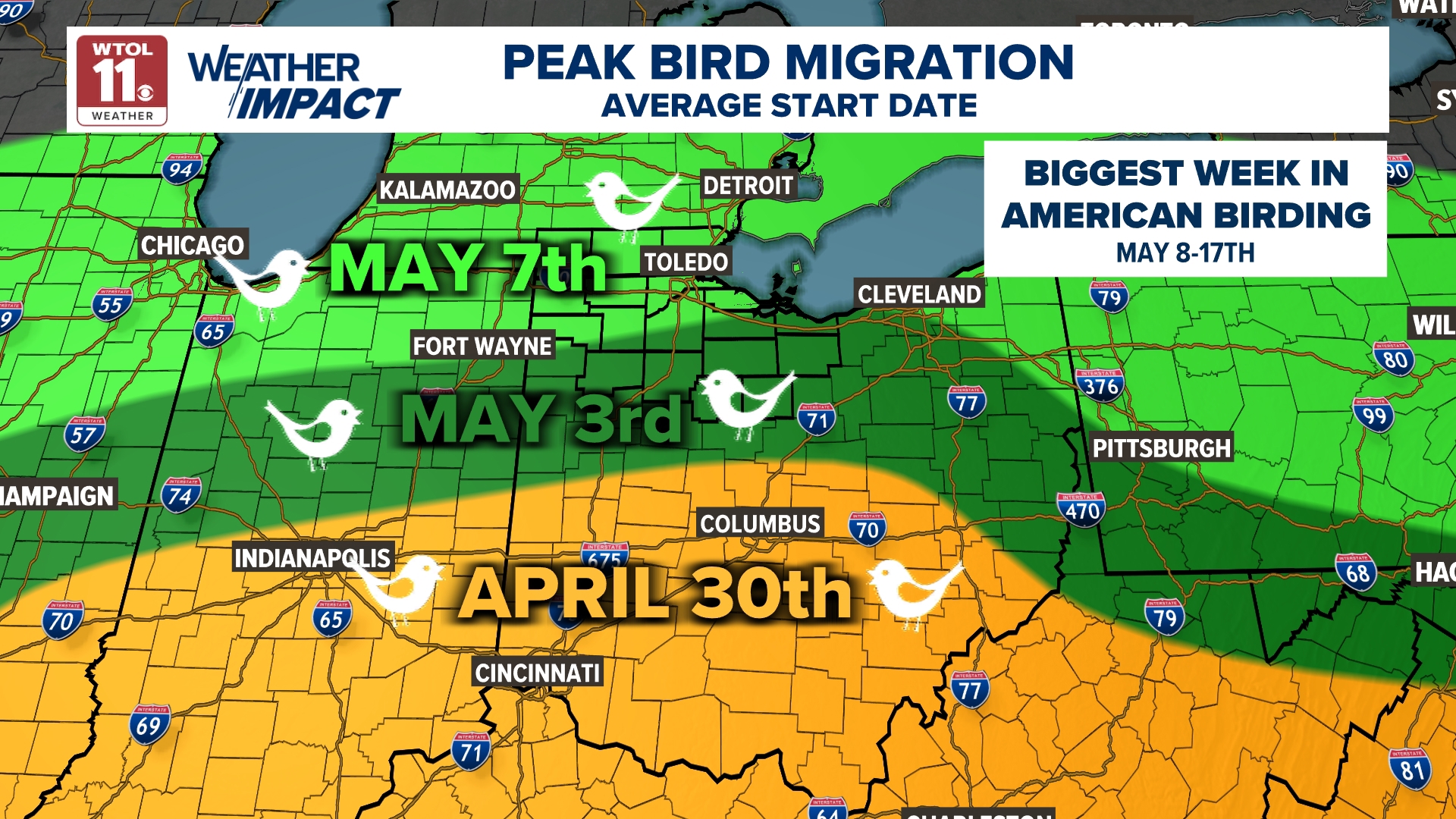 The Biggest Week in American Birding returns to northwest Ohio in May ...