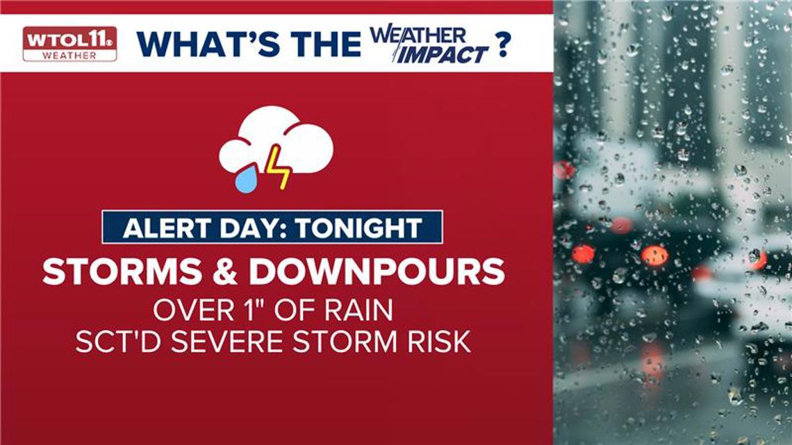 Storm damage and power outages across northwest Ohio and southeast Michigan