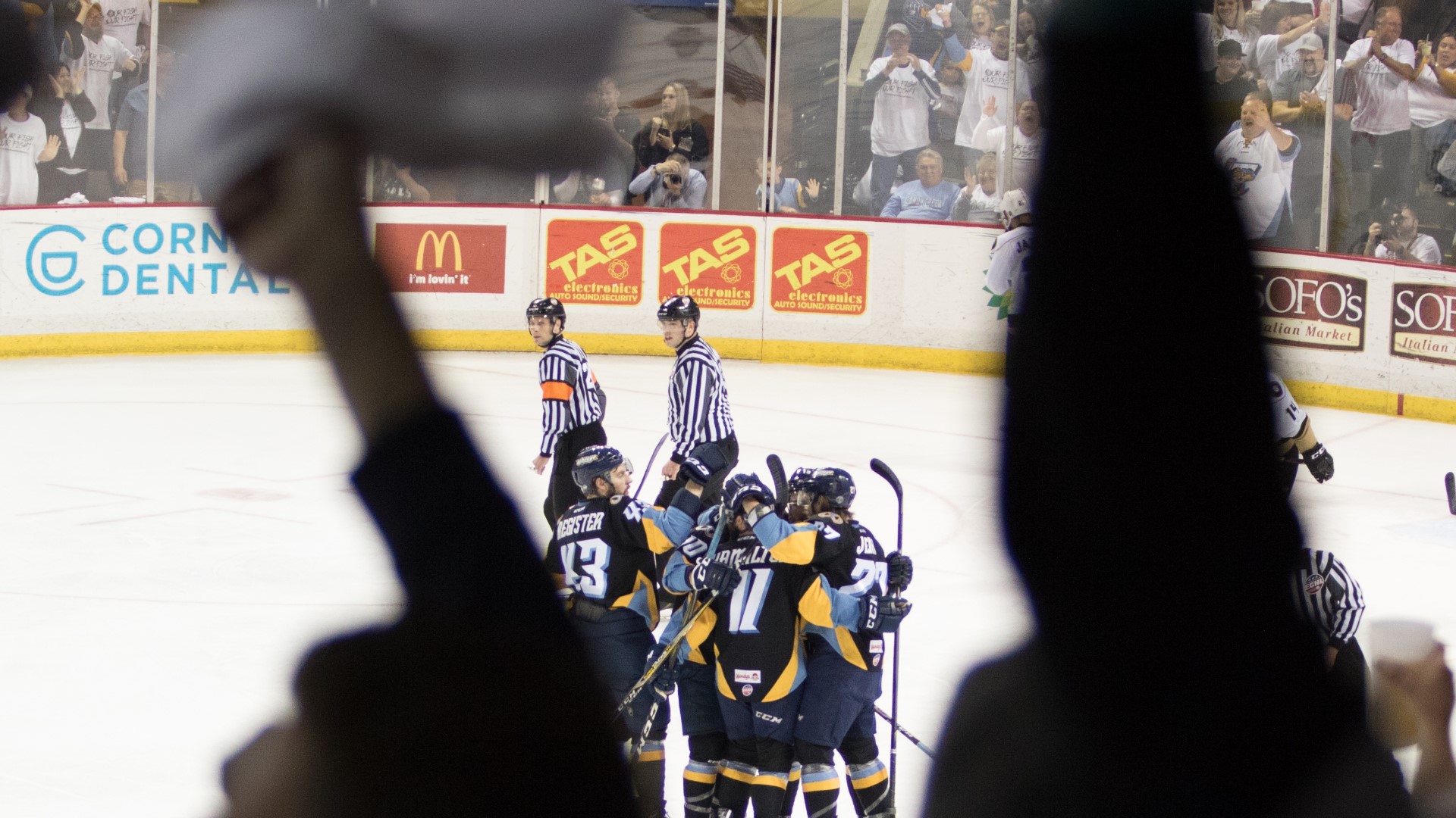 The Toledo Walleye will be among the teams that will begin their season in January and play a shortened, 62-game season.
