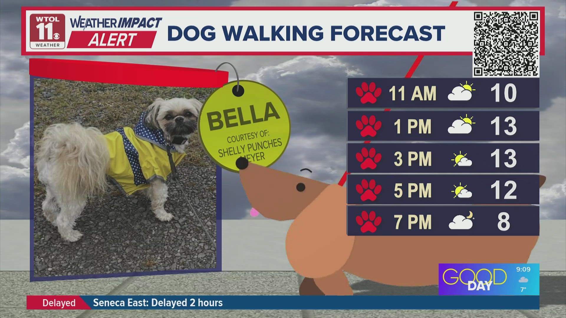 Dog walking forecast: It's a 'red paw' day | Good Day on WTOL 11 | wtol.com