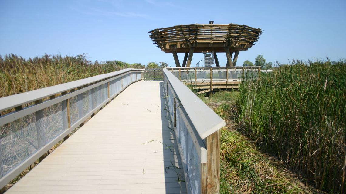 Maumee Bay park boardwalk reopens after repairs | wtol.com