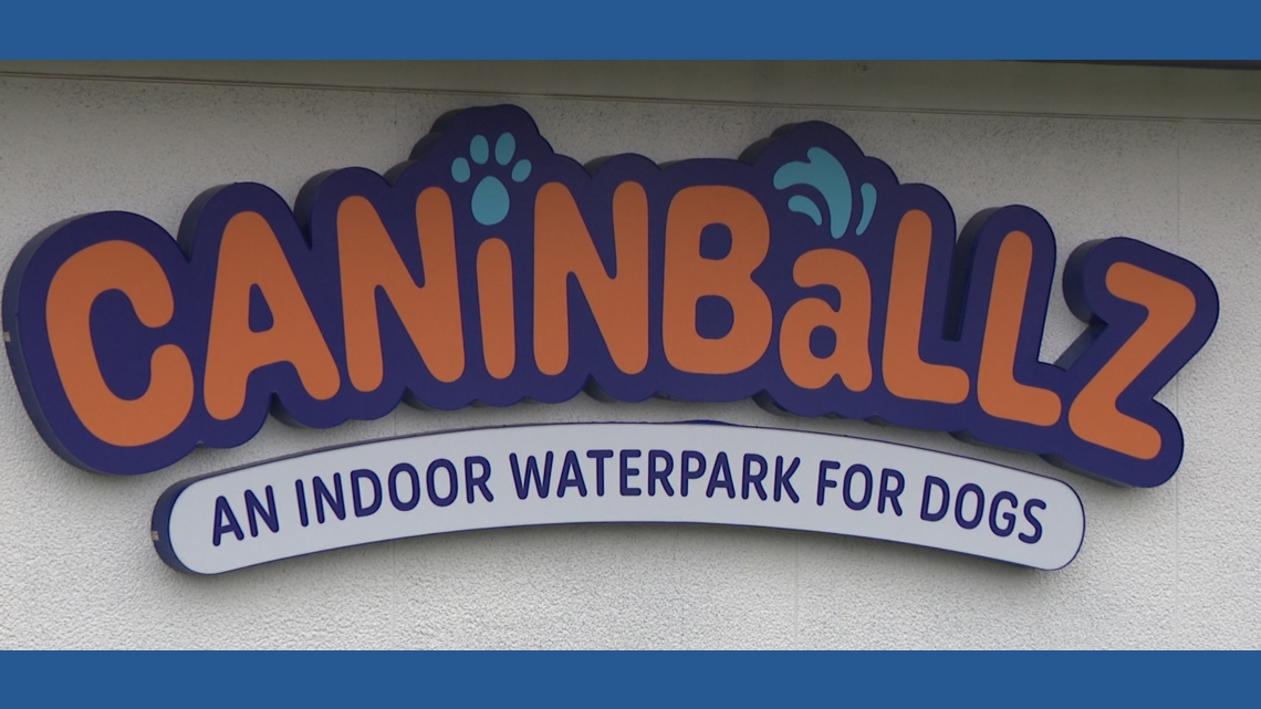 Caninballz permanently closes one month after reopening