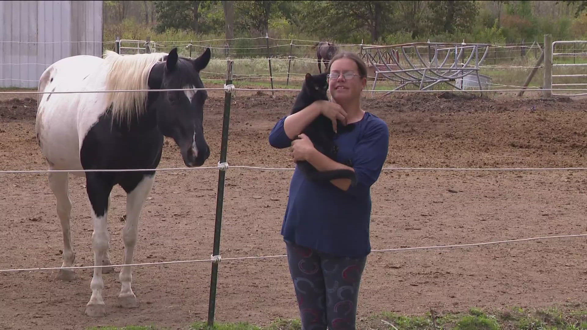 Sarah Collins, the owner of Precious Sea Stables, claims the incident began when a customer came to buy a horse but didn't have the money.