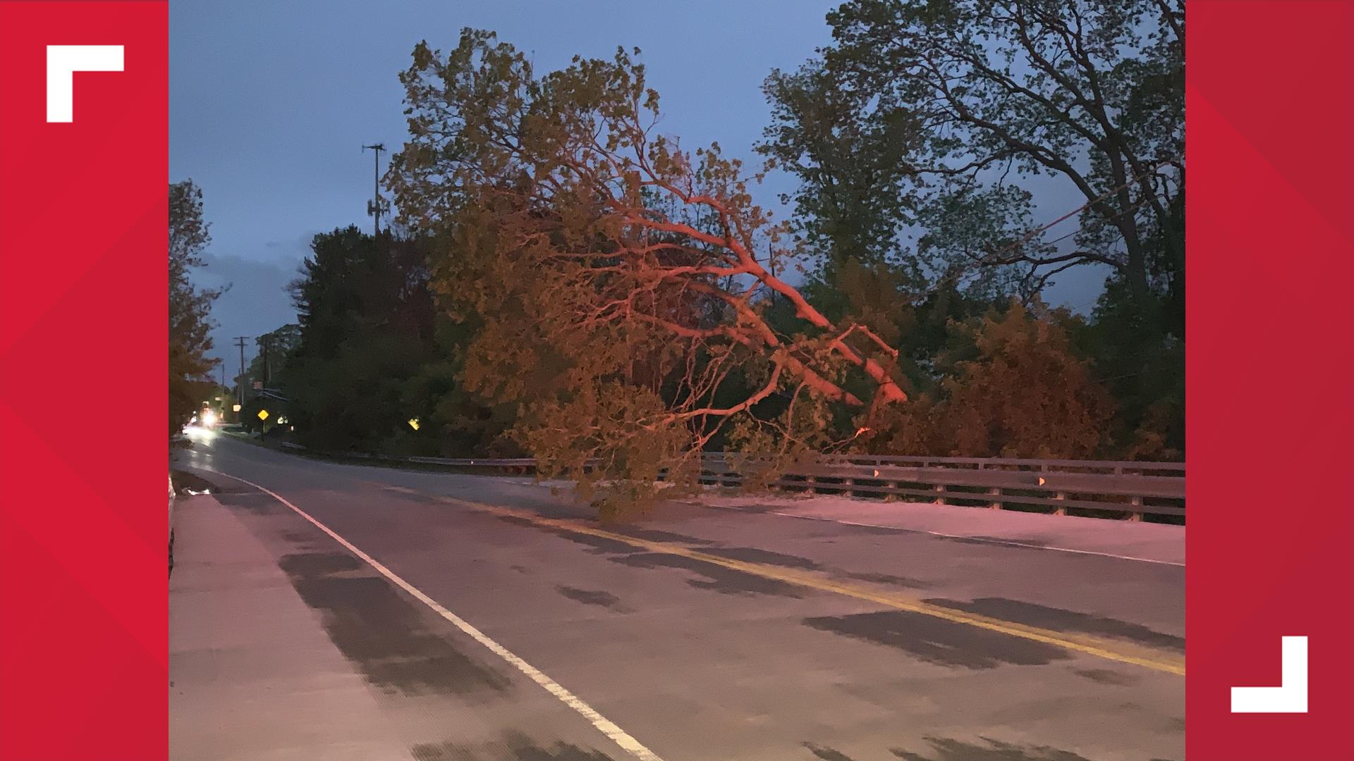 Tree downed into power line causes more than 1,500 outages | wtol.com