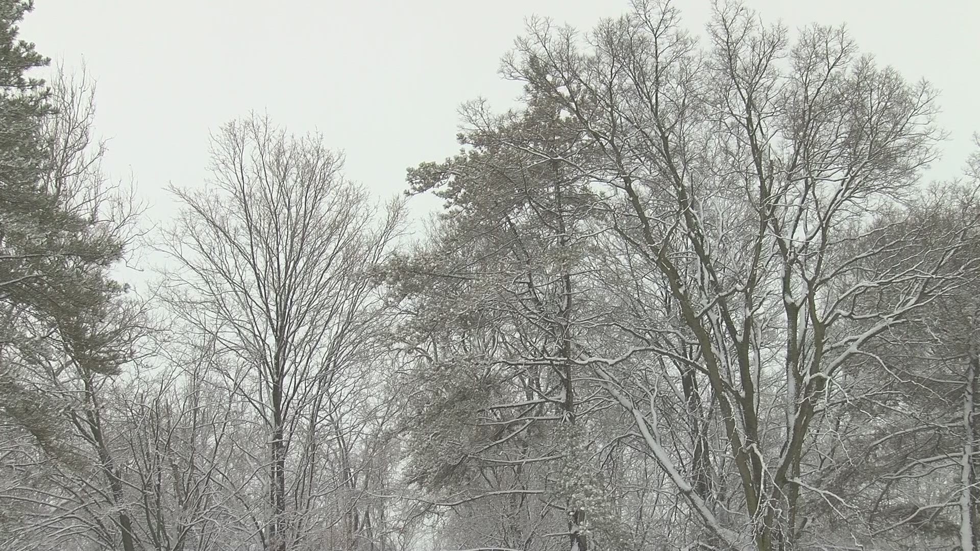 Side Cut MetroPark has a hill for anyone to go sledding on