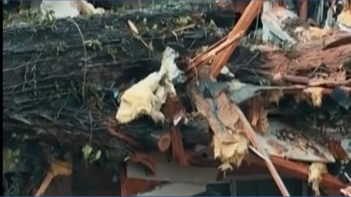 Home destroyed by fallen tree in Atlanta | wtol.com
