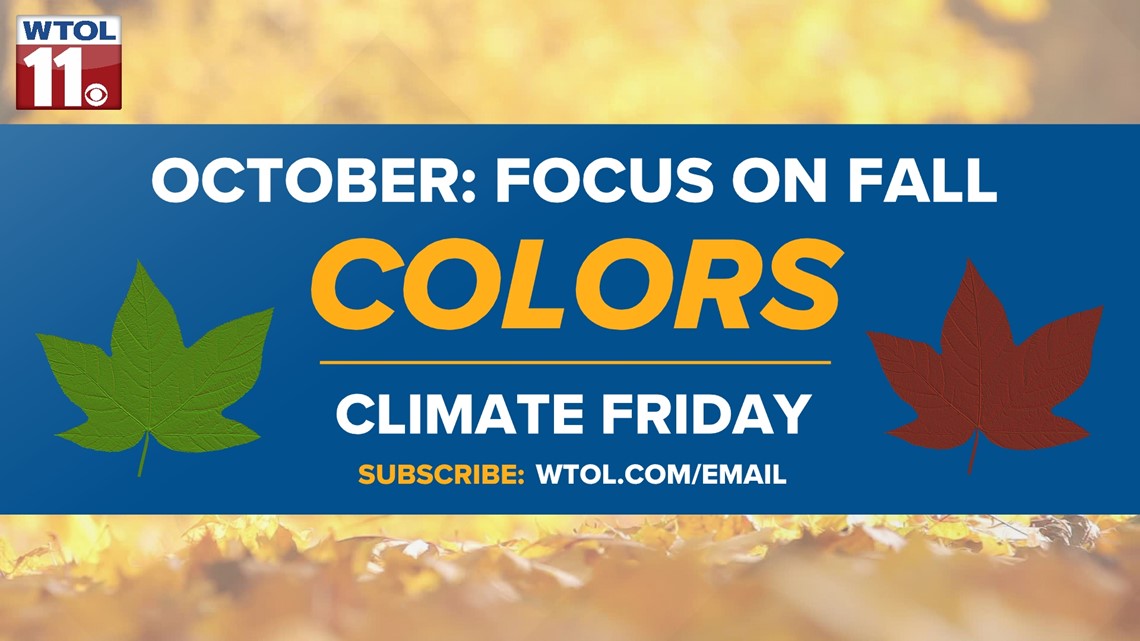 Climate Friday | How does climate change affect the fall color calendar? - WTOL