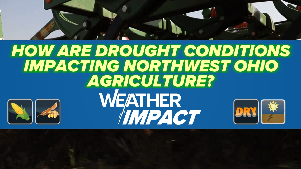 How are drought conditions impacting northwest Ohio agriculture? | wtol.com