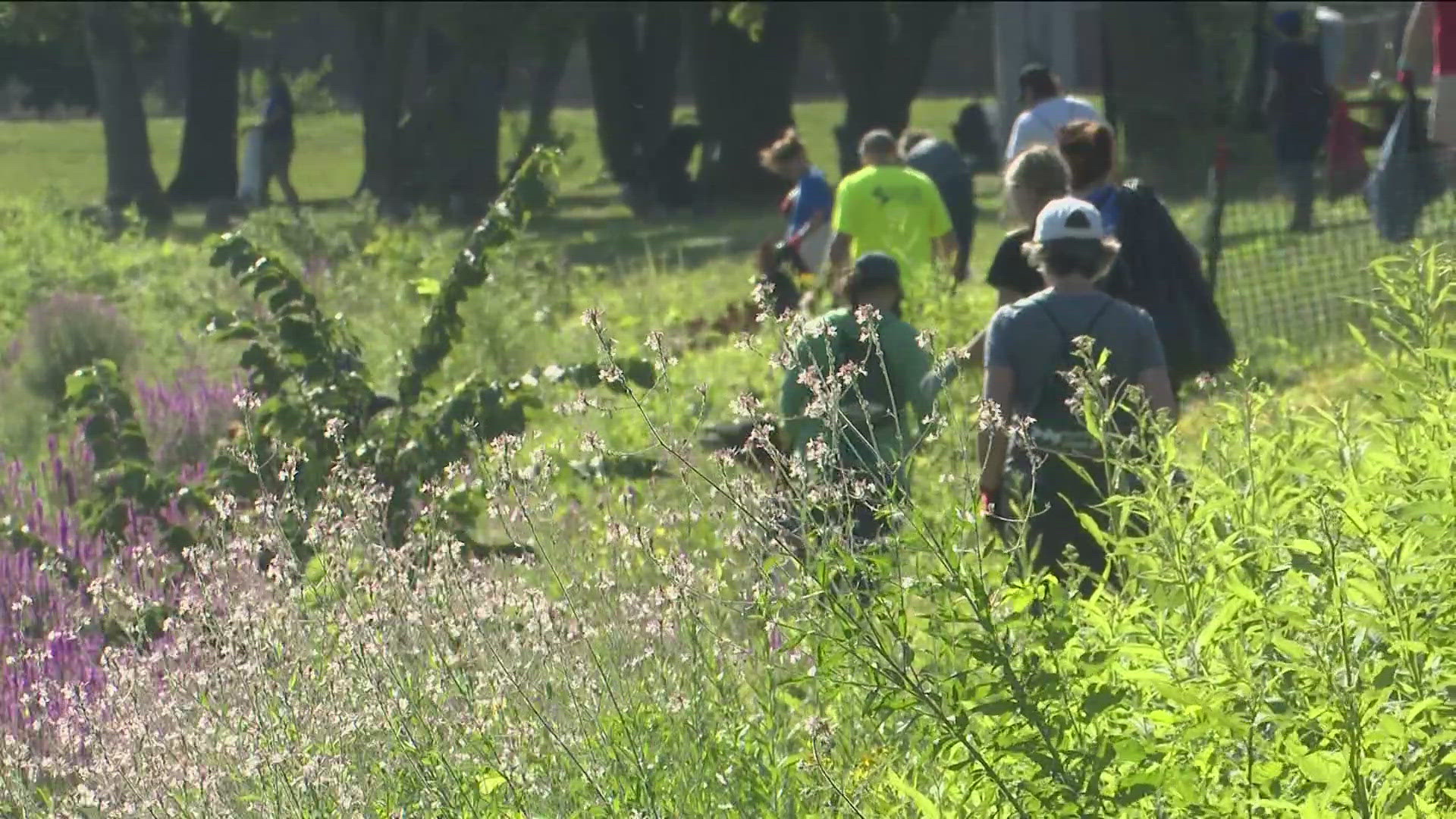 The River Raisin runs right through downtown Monroe and into Lake Erie. On Saturday, citizens showed how much they appreciate the waterway and want to keep it clean.