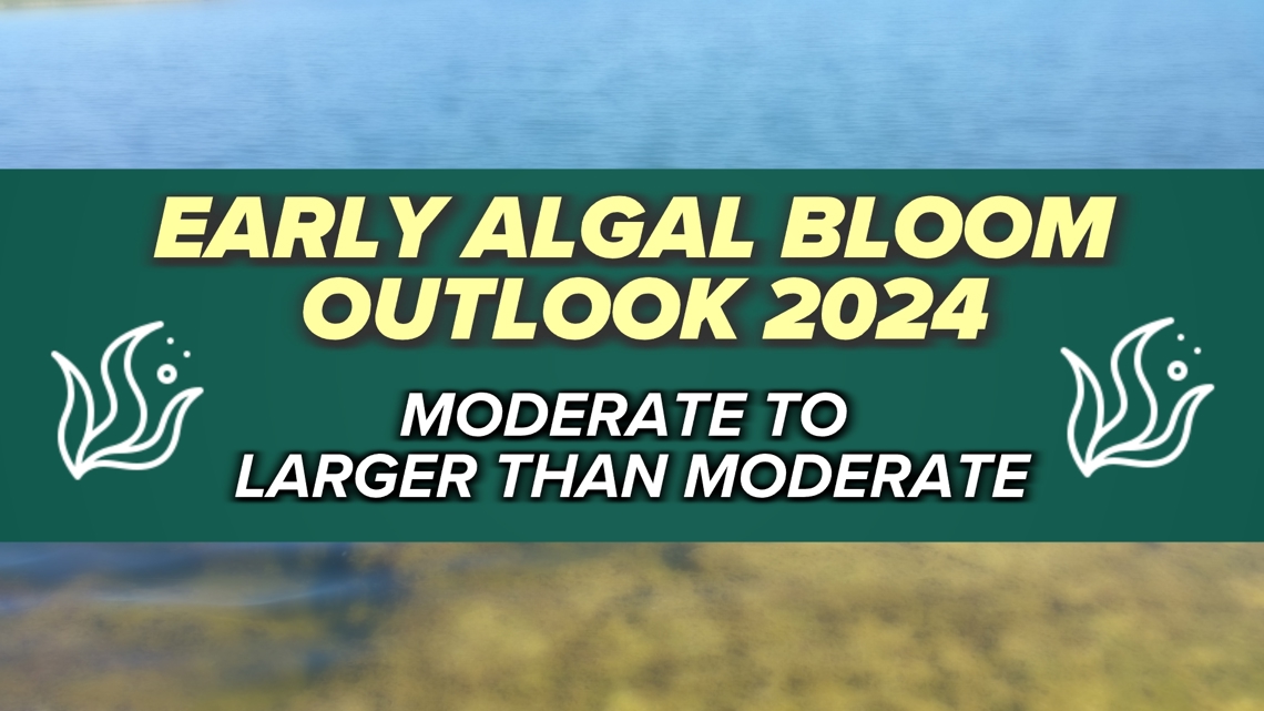 Will the Lake Erie algal bloom be worse this year? - Vimarsana News