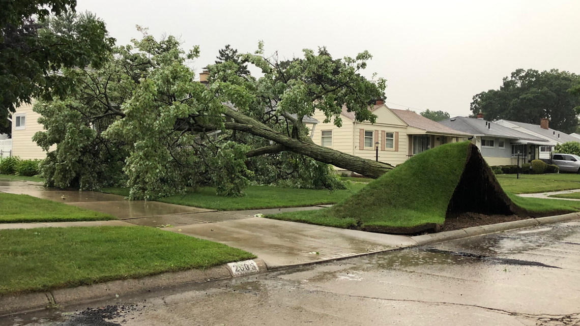 Toledo area summer storm causes damage, power outages