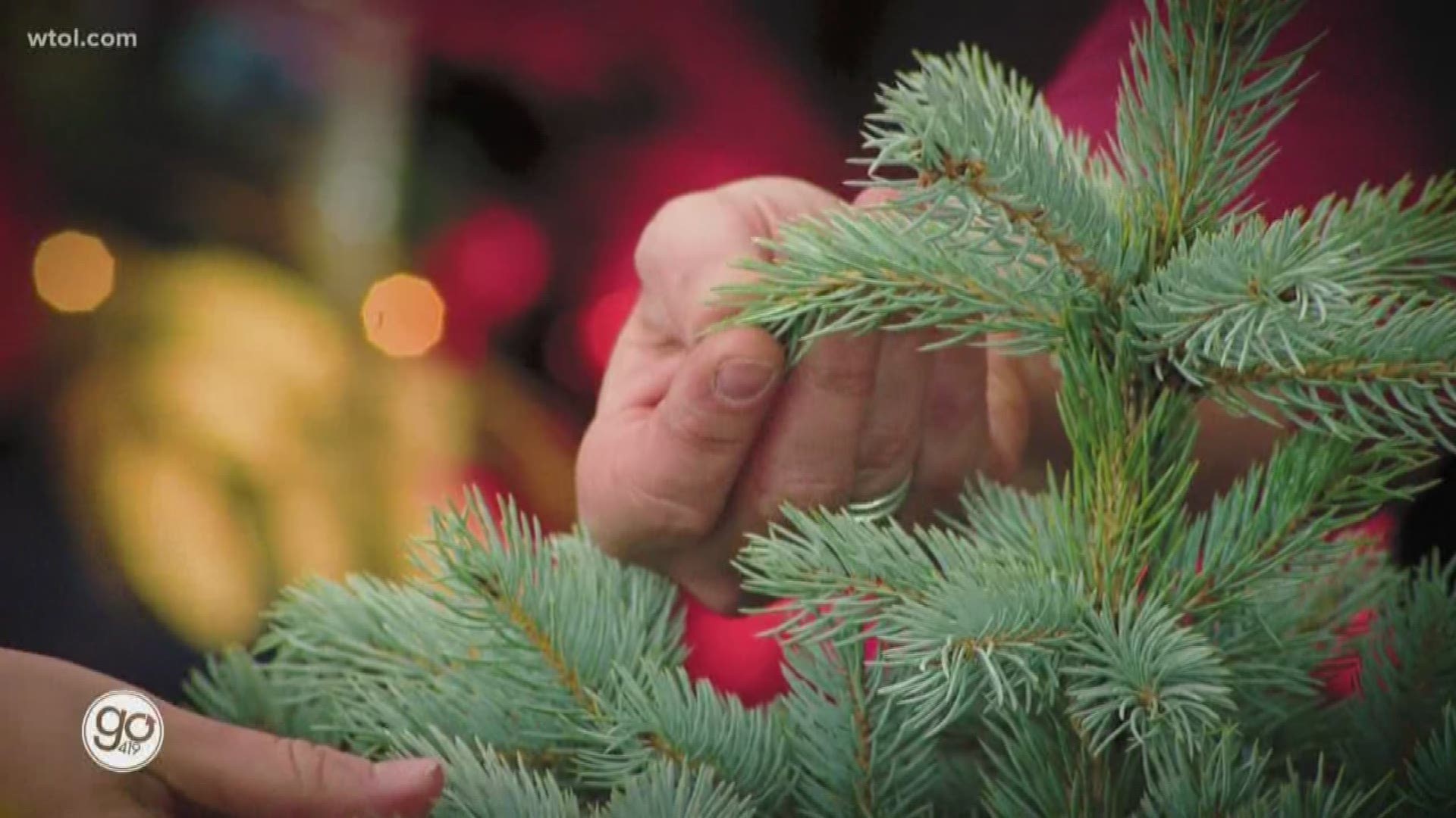 Jenny Amstutz with Nature's Corner explains how using a potted evergreen is different than decorating your home with a cut evergreen this season.