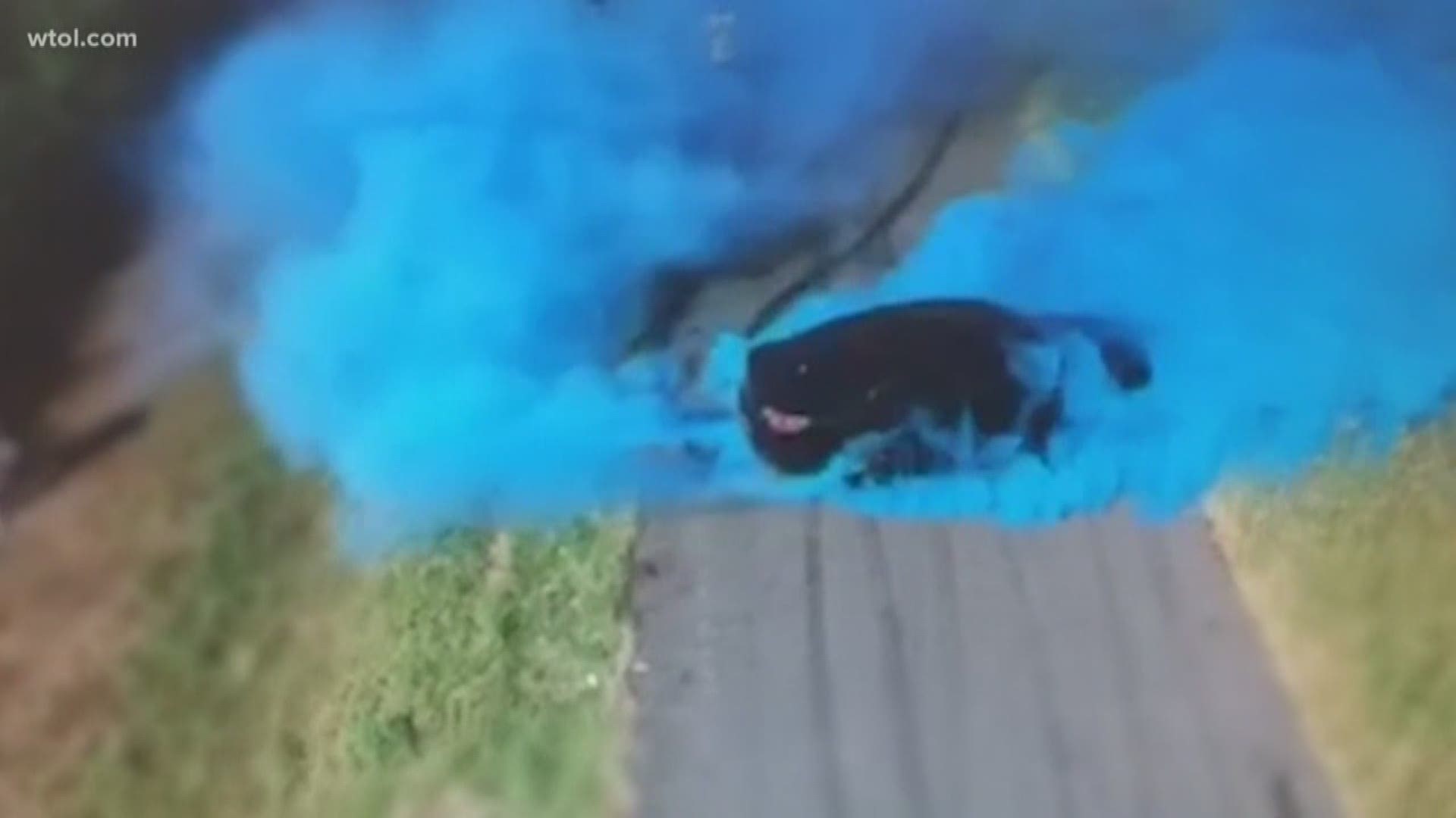 A car in Australia caught fire during a gender reveal.
