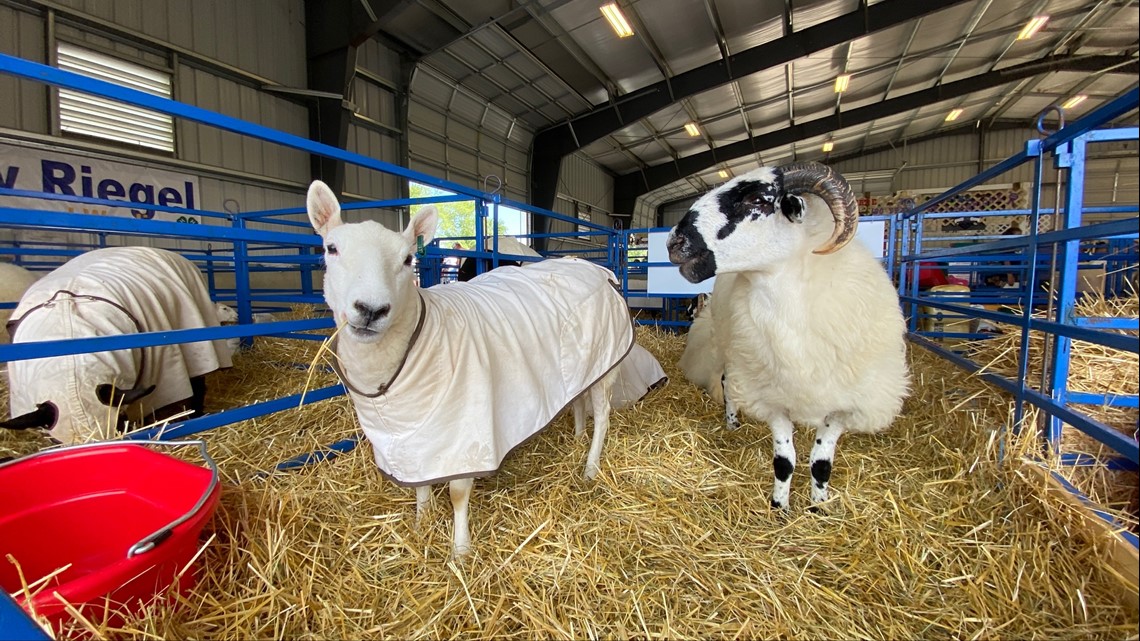 2022 Seneca County Fair in Tiffin starts Monday