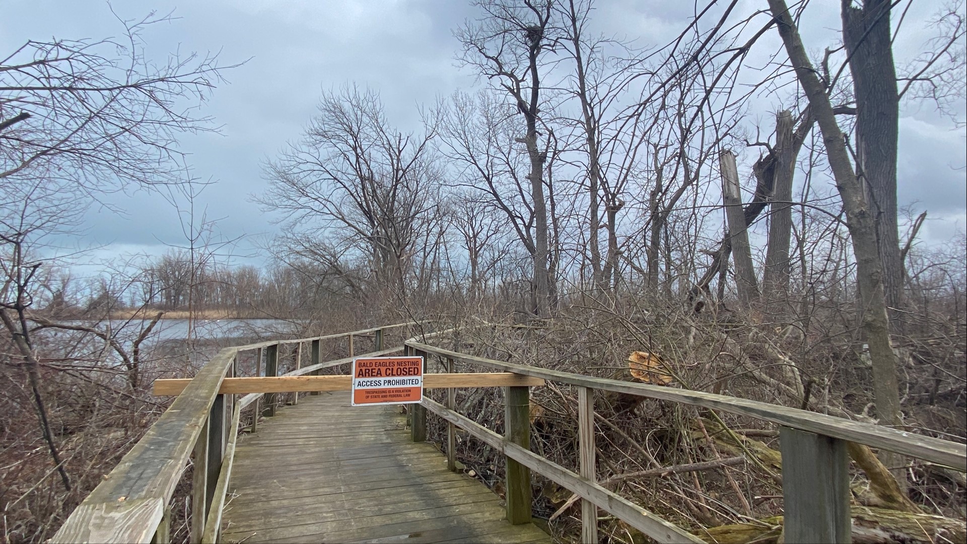 The boardwalk was severely damaged during a storm last August but has now reopened except for a stretch reserved for a pair of nesting bald eagles.