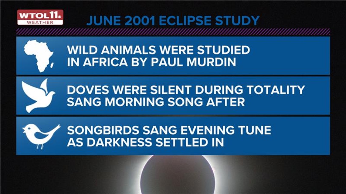 Solar eclipse and animal behavior WTOL 11 Weather