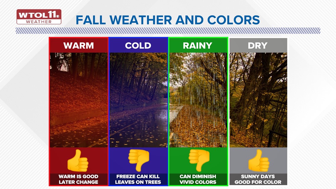 Climate Friday How is climate change affecting fall colors?