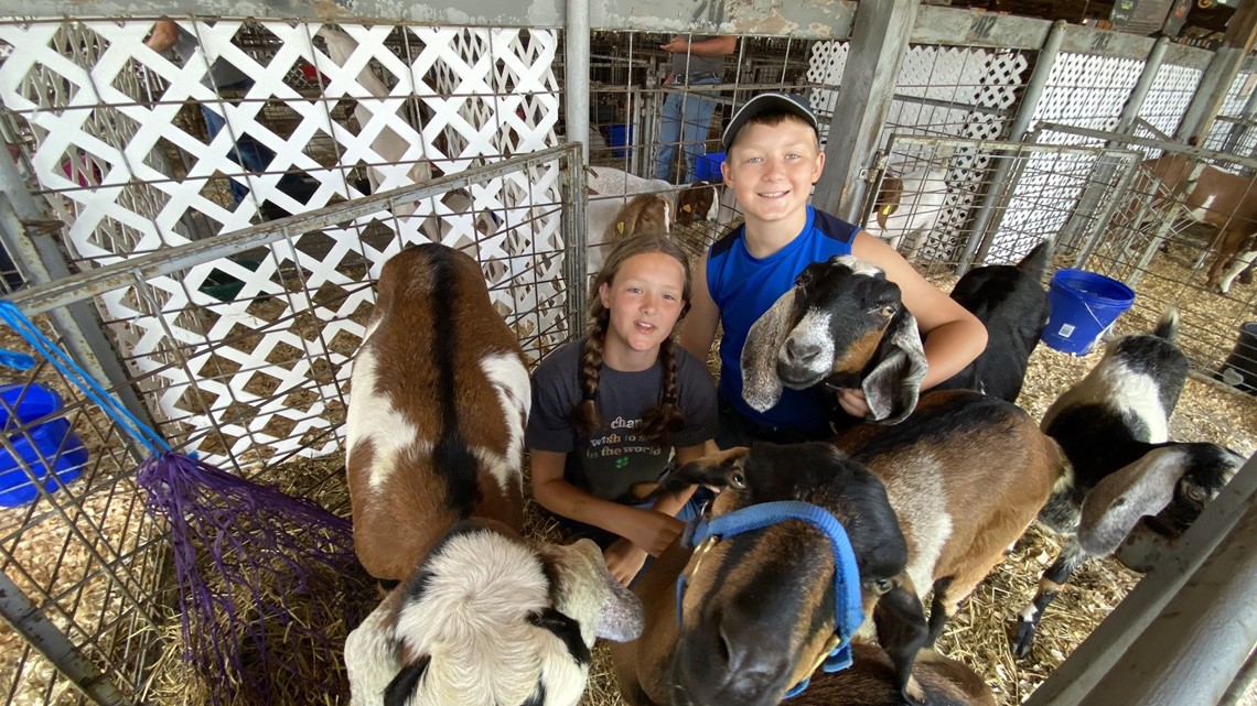 170th Sandusky County Fair begins livestock contests, rides, more