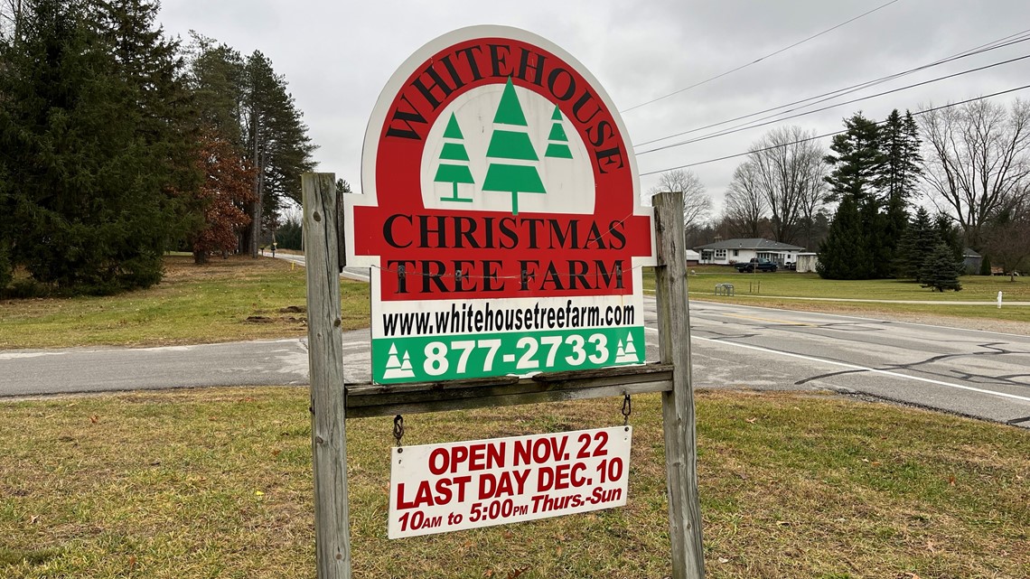 Whitehouse Christmas Tree Farm ready for holiday season