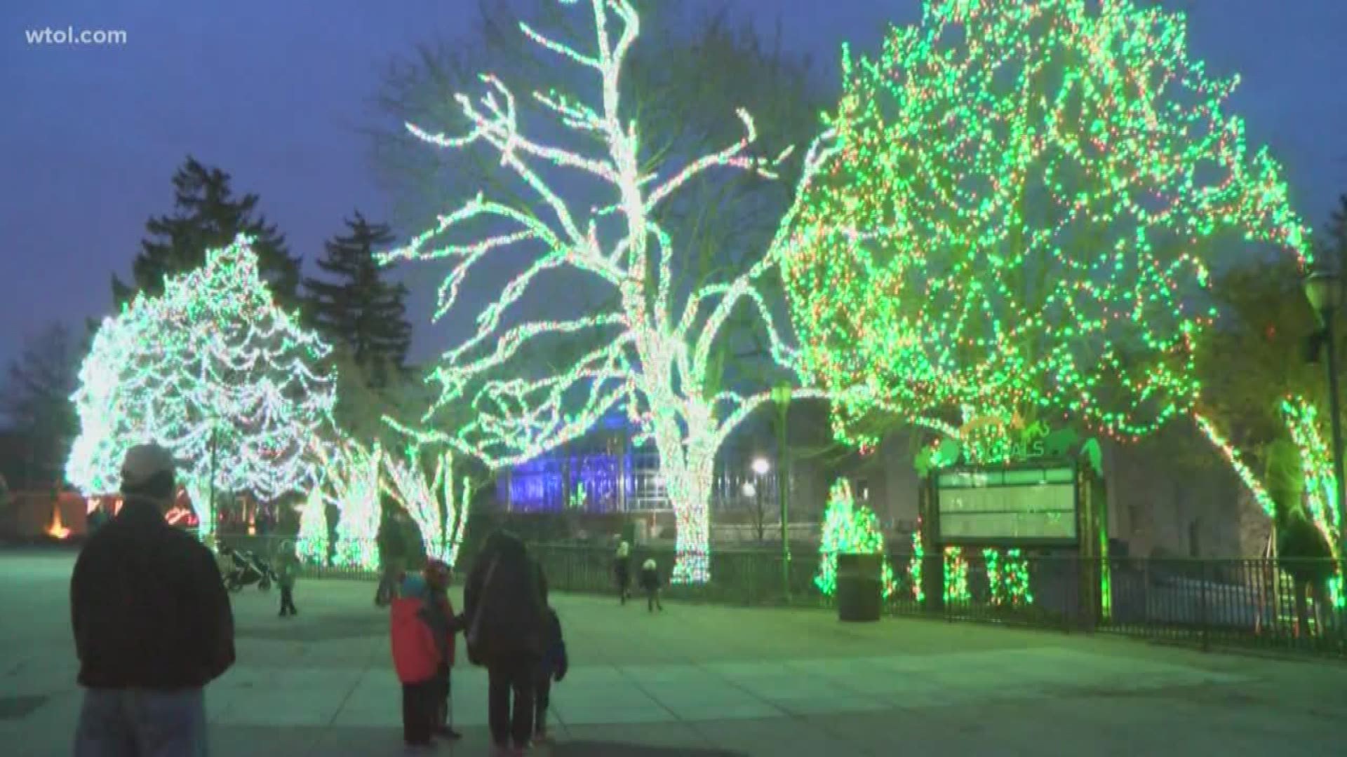 You can vote until Dec. 2 to make Toledo Zoo's Lights Before Christmas the best in the nation again!